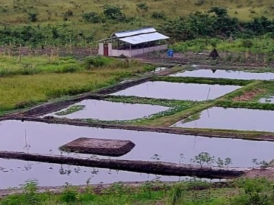 étangs piscicole kinshasa